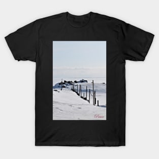 Deserted Pier. T-Shirt